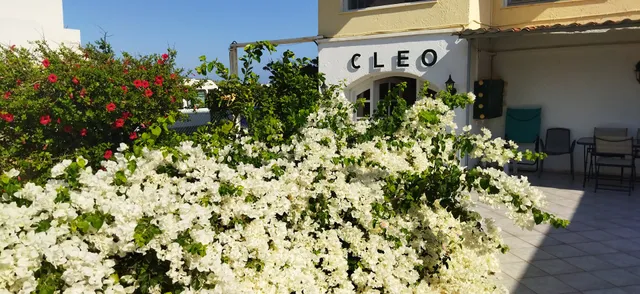 CLEO ROOMS