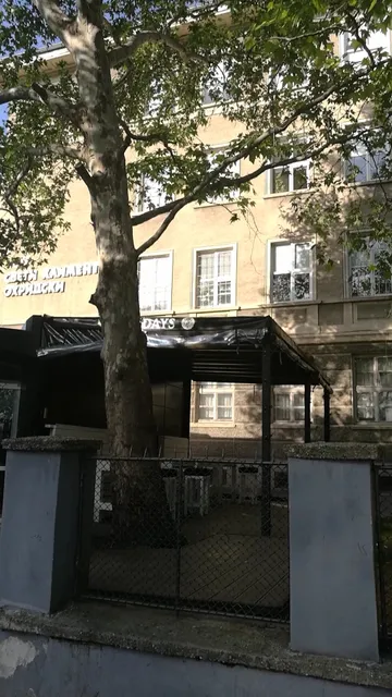 YAMMY!!! Sandwich shop