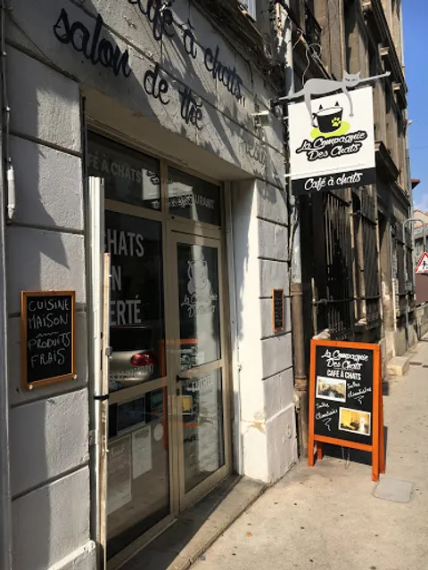 La compagnie des chats