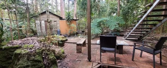 Springbrook Storybook