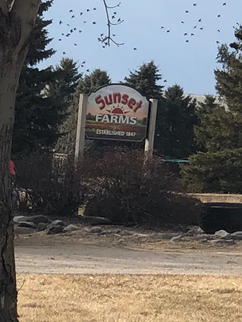 Sunset Farms Inc