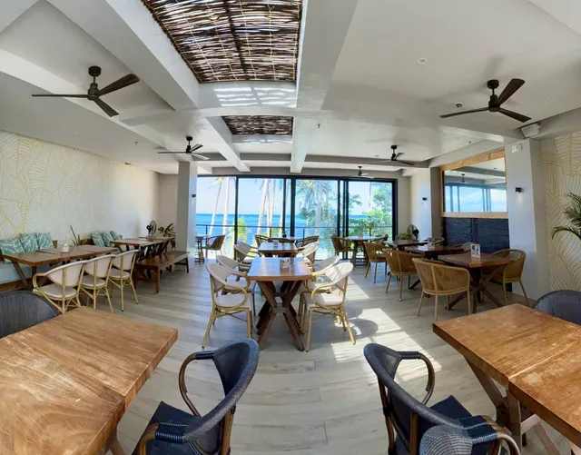 The Monkey Tree Cafe and Bar