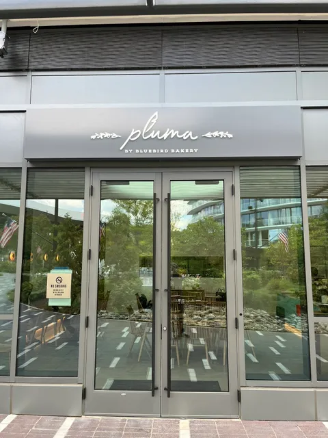 Pluma by Bluebird Bakery