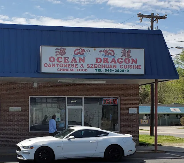 Ocean Dragon Chinese Restaurant