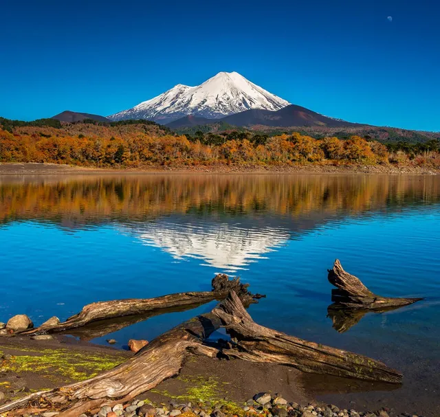 Conguillío National Park