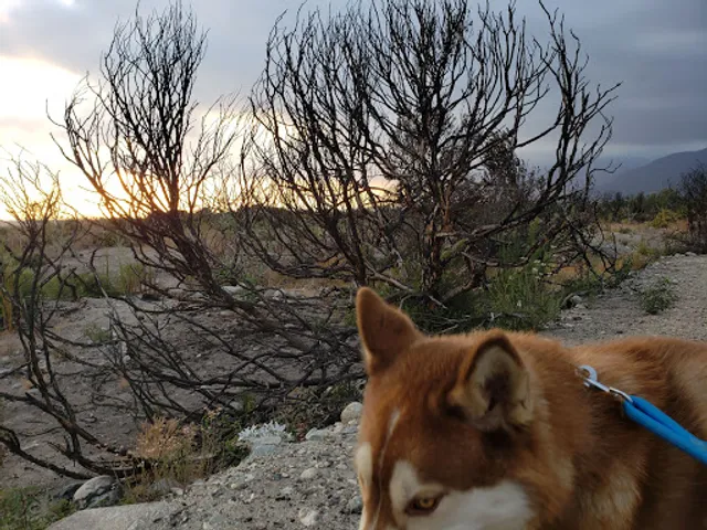 Santa Fe Dam Recreation Center