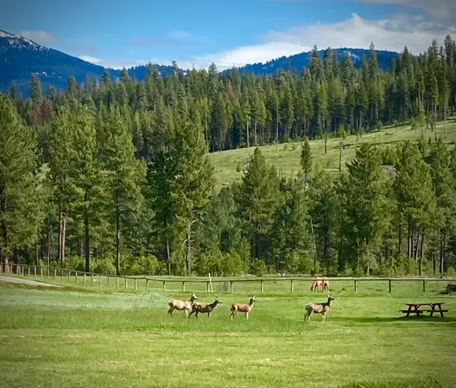 Boulder Creek Ranch