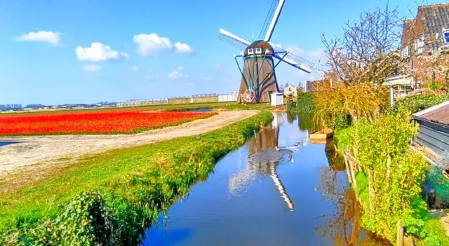 Windmill (Shop & Museum)
