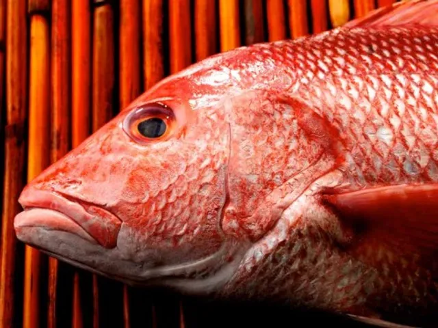 Florida Fresh Seafood