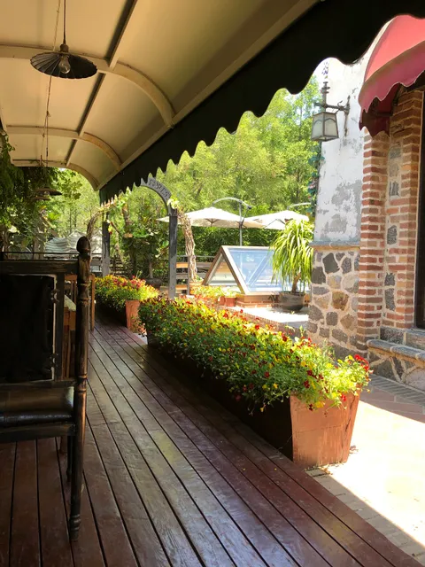 Saina Forest Restaurant