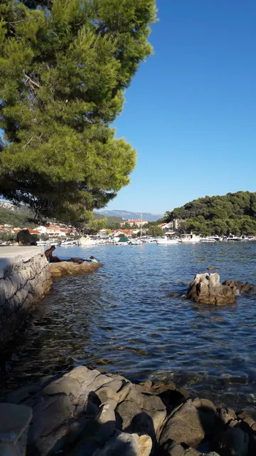 Palit, Rab, Hrvatska