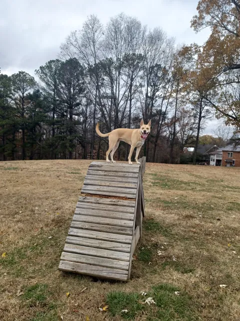 Atkins Porter Dog Park