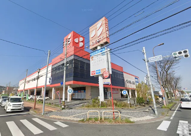 Best Denki Yahatanishi