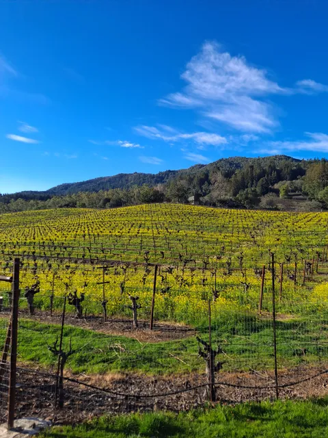 Jack London State Historic Park Museum Parking