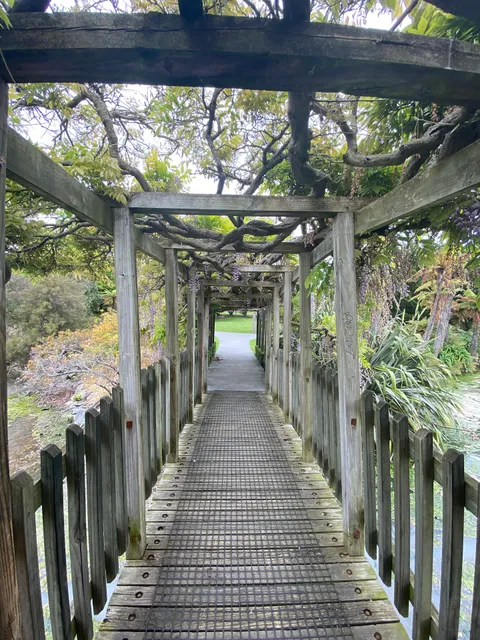 Kuirau Park Serenity Bridge (foot traffic)