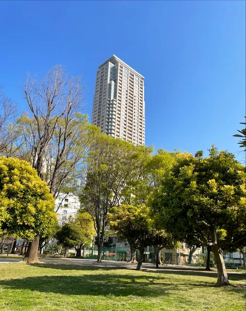 Aoyama Park North Section