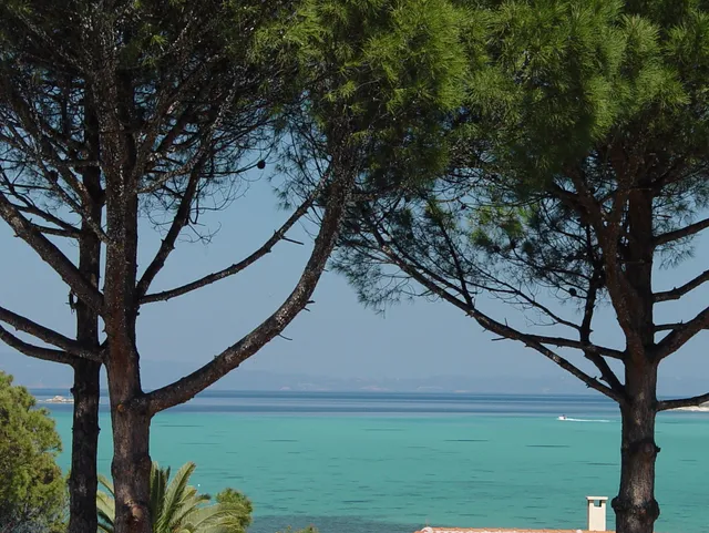 Elenas Beach Studios