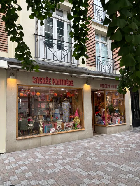 Sacrée panthère concept store Reims