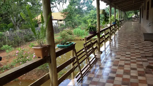 Restaurante e Pizzaria Curral