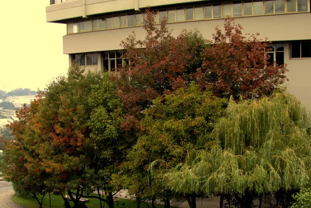 Campus A Coruña - Zapateira - UDC