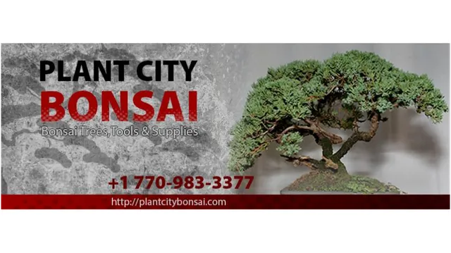 Plant City Bonsai