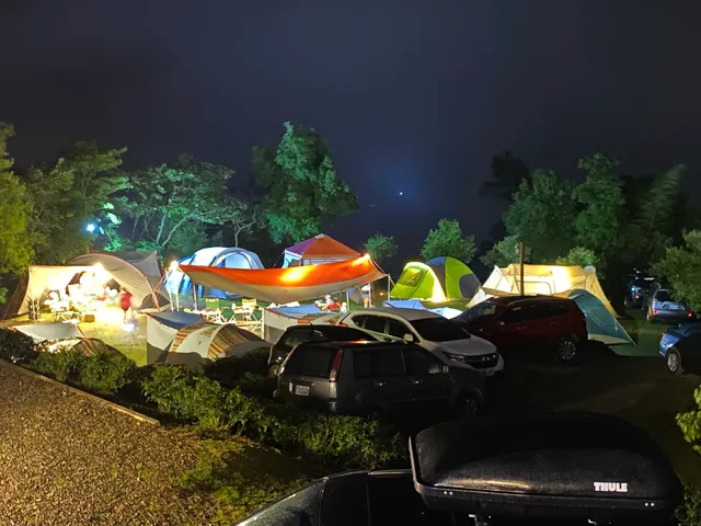 南投武界觀景茶園露營區