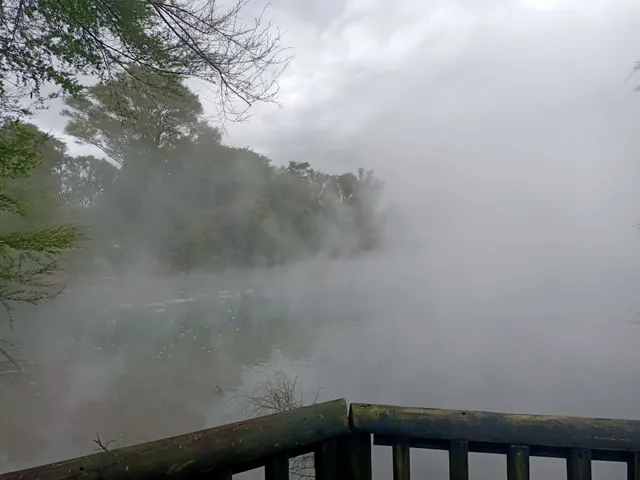 Kuirau Thermal Landscaping