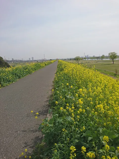 Edogawa River Left Bank Green Space, Kamiyagiri Area