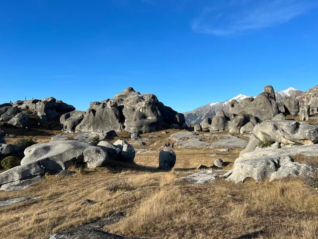 Castle Hill / Kura Tawhiti Conservation Area