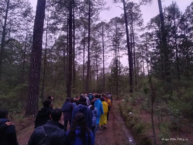 Santuario de las Luciernagas MX