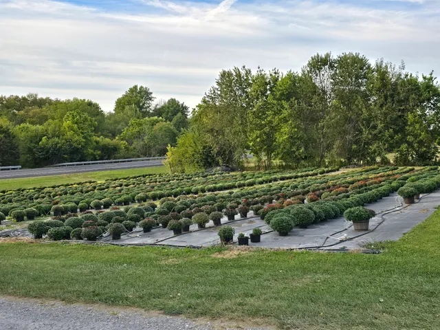 Chappell Farms Produce