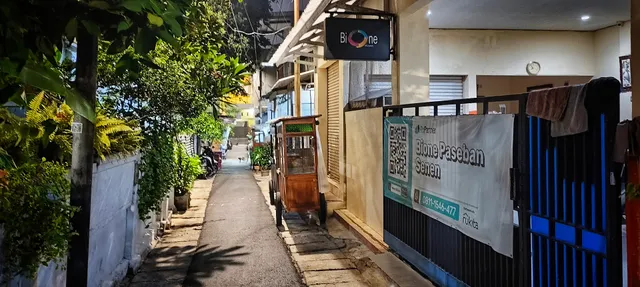 Kost Bione Paseban Senen