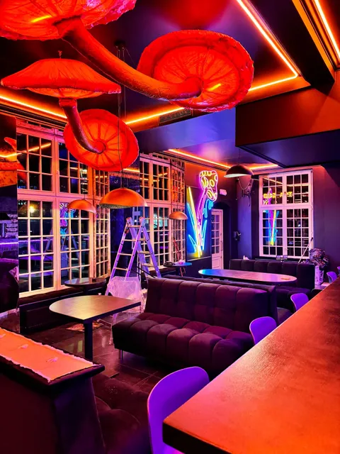 Mushrooms Lounge Bar