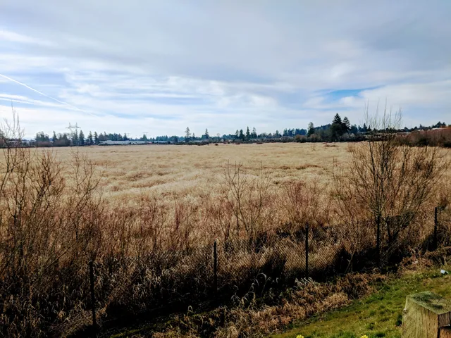 Coffee Lake Wetlands