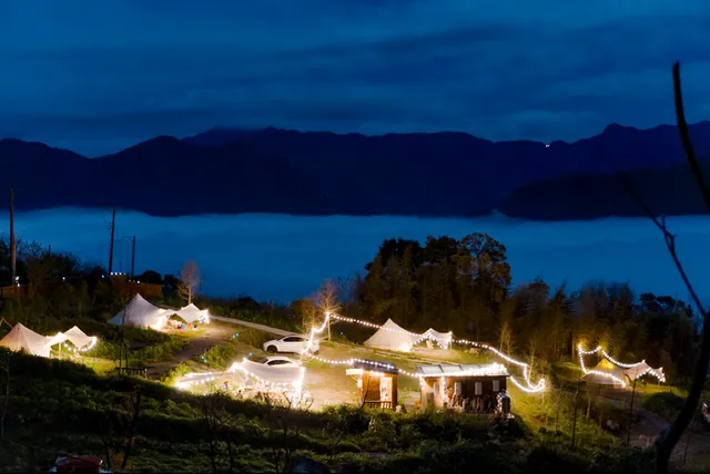 BASECAMP森林基地