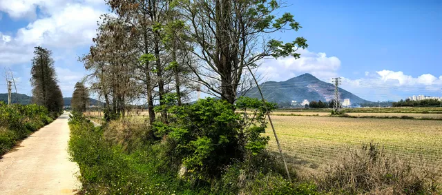 Haitian Yi SE Yu Cun