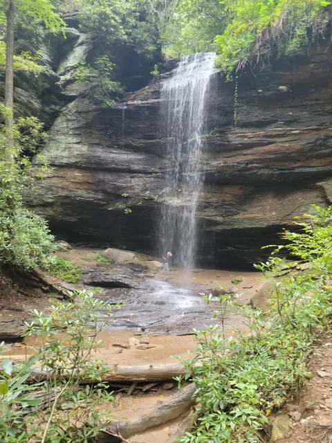 Moore Cove Falls Trail