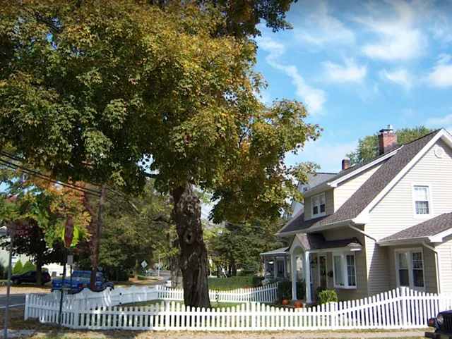 Happy Trees by MGM Tree Service & Landscaping LLC