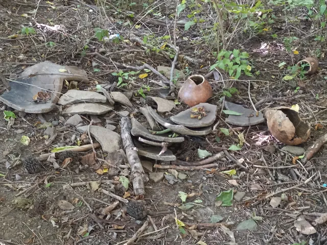 Lancaster County Central Park Garden Plots