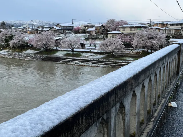 最上橋