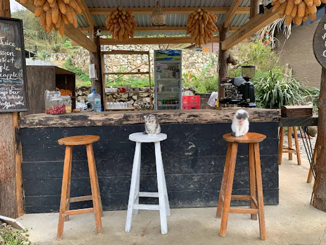 Sa Mộc Restaurant & Cafe Bar