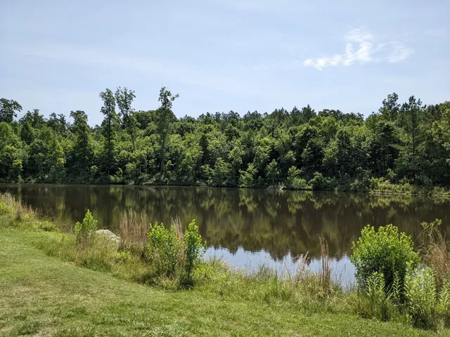 Longleaf at Juneberry Ridge