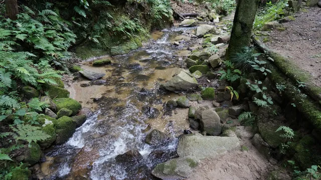 権現川ハイキングコース