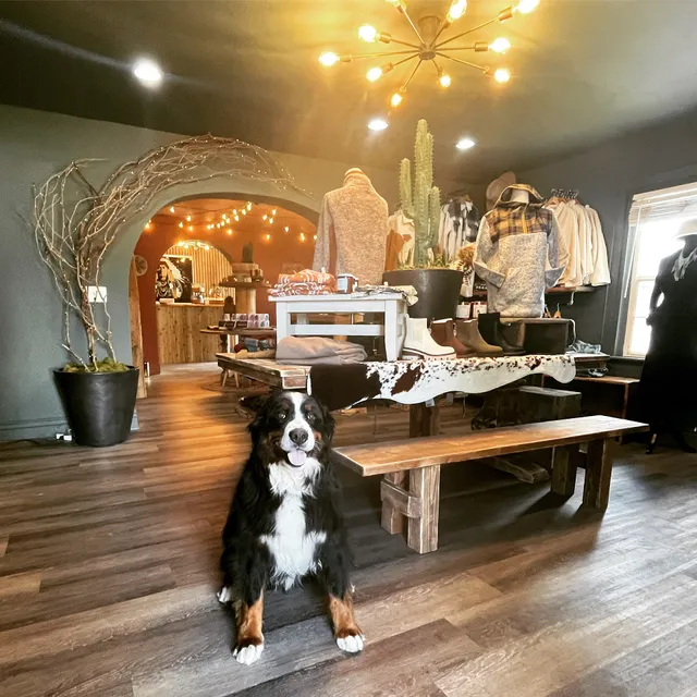 Cactus & Pine Boutique