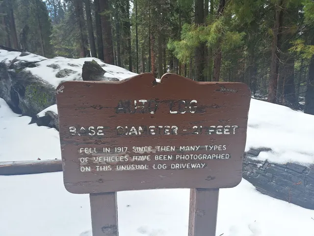 Auto Log Parking Area