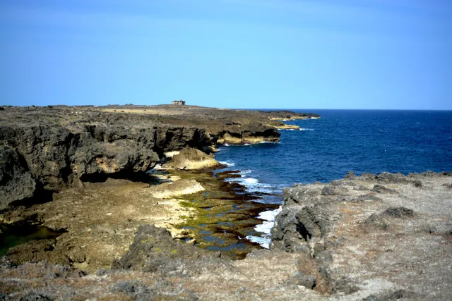 Graciano's Cove