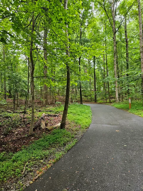 Oak Pavilion at Tribble Mill Park