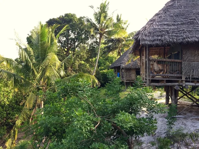 Kitu Kiblu Responsible Marine Encounters