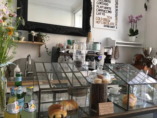 The Nomad & The Bean