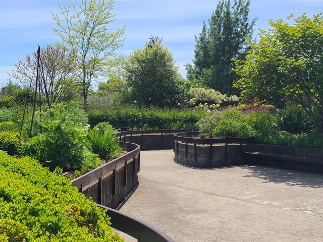 Tennant Lake Fragrance Garden